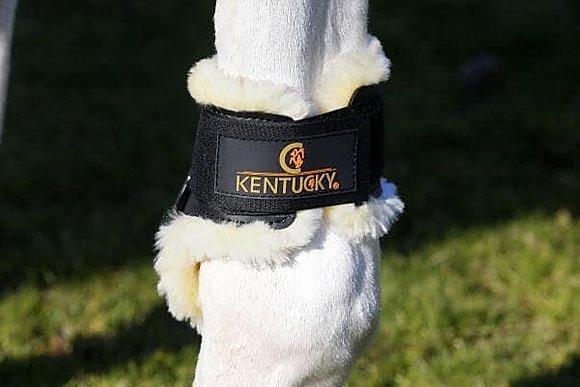 Kentucky Streichkappen Air Young Horse Fell - Reitsportwelt
