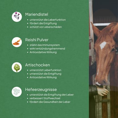 Leberschutz 750g