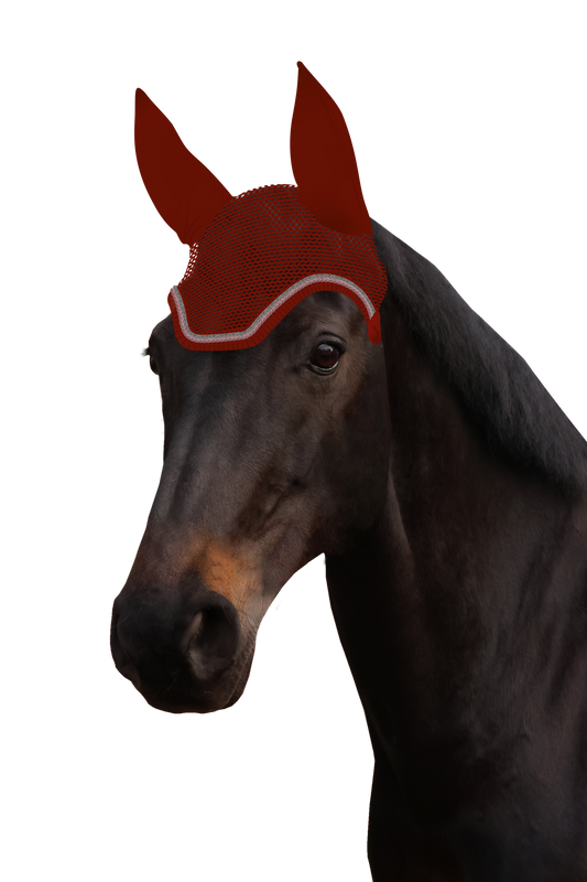 Fliegenohr