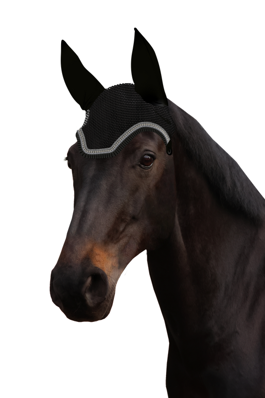 Fliegenohr