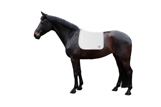 Schabracke Cotton Diamant