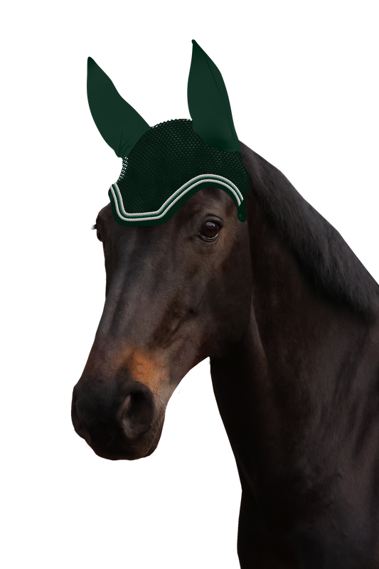 Fliegenohr