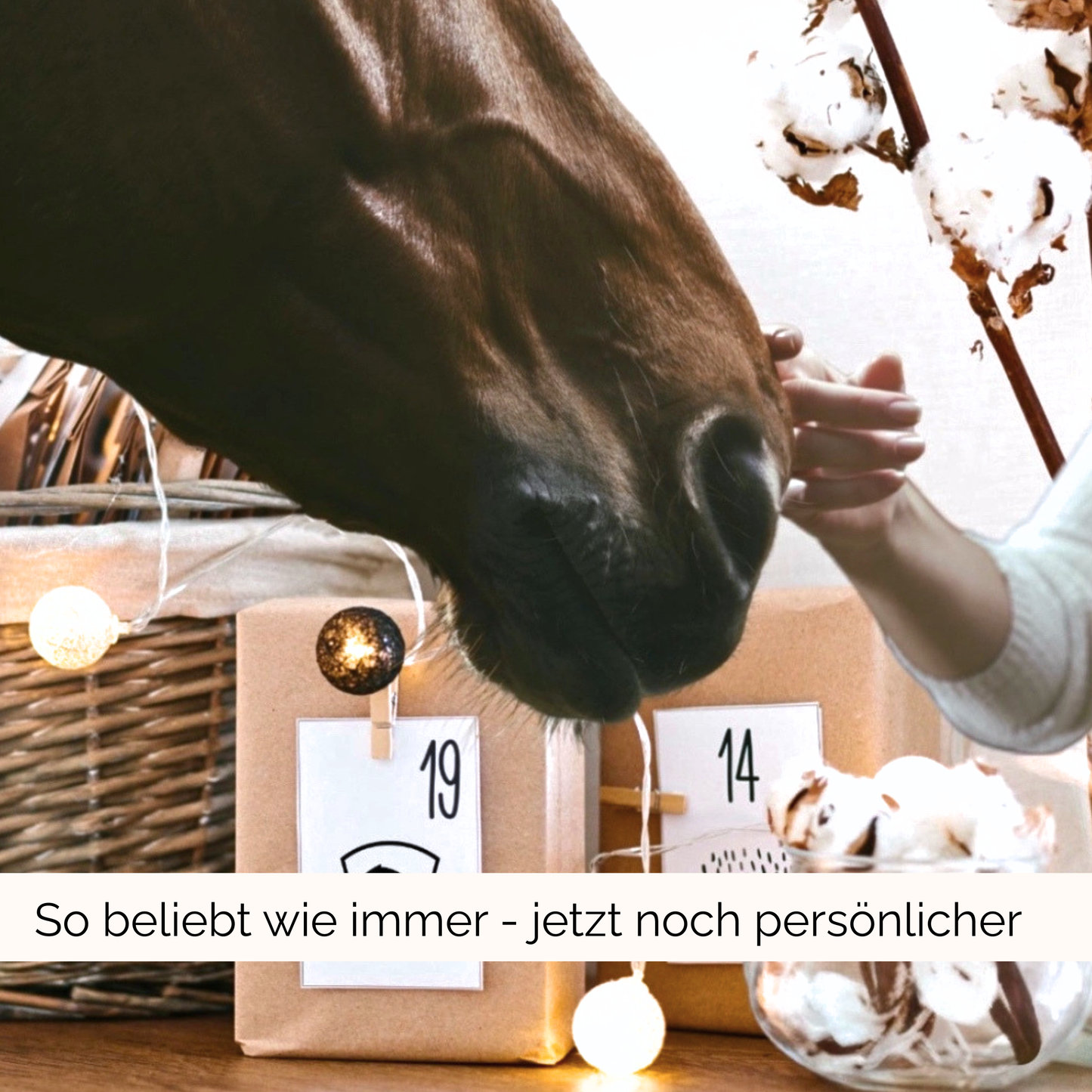 Adventskalender Uniquehorse 𓃗