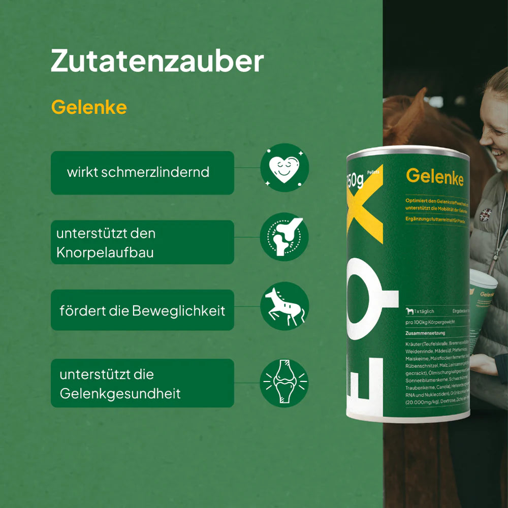 Gelenke 750g