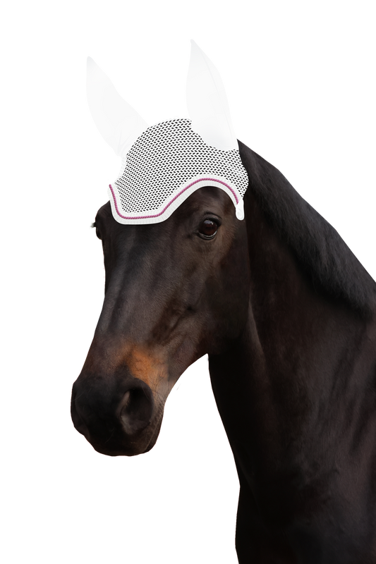 Fliegenohr