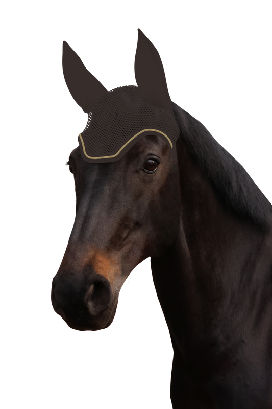 Fliegenohr