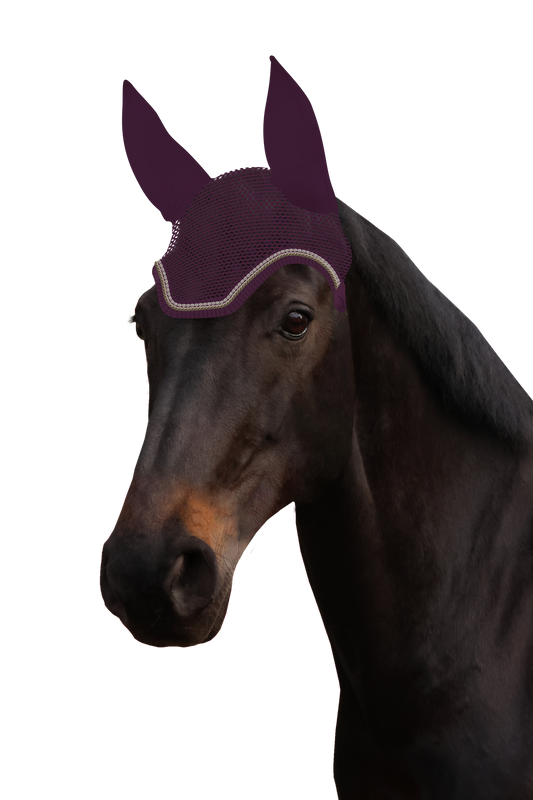 Fliegenohr
