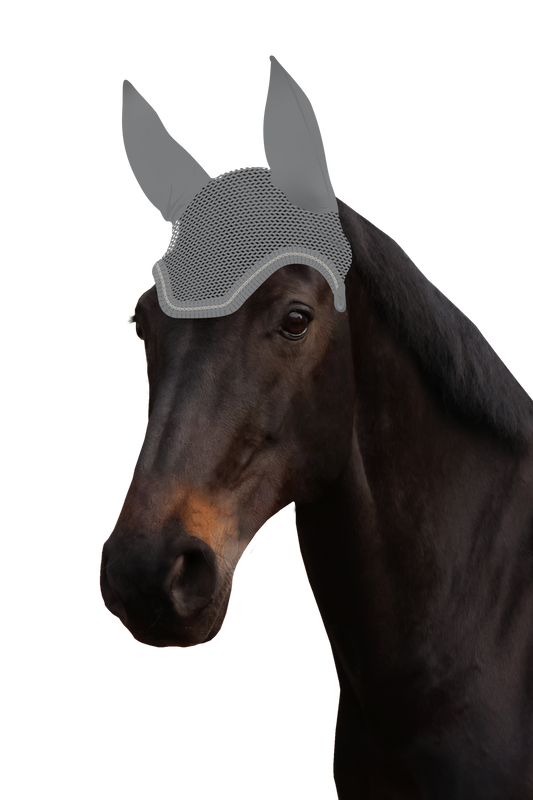 Fliegenohr