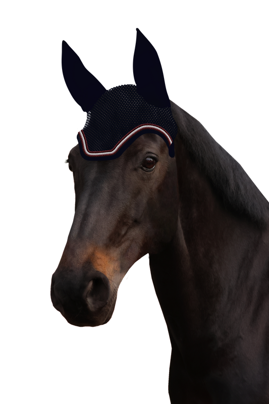 Fliegenohr