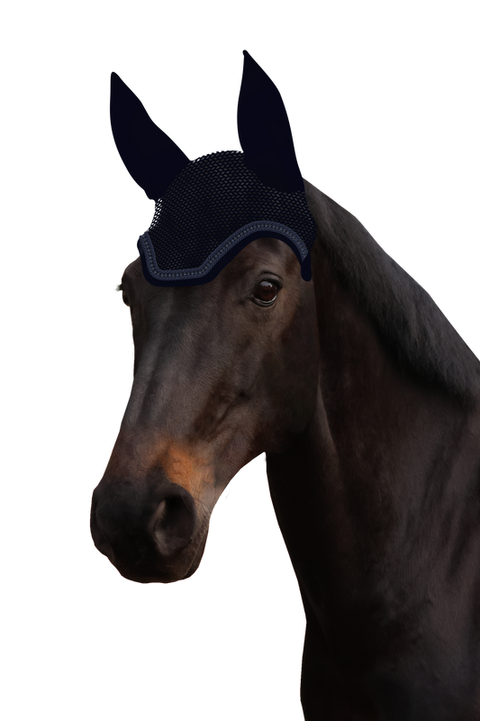 Fliegenohr